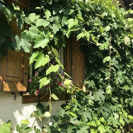 Tante Berg * Bad Vilbel